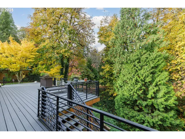 a view of stairs and trees