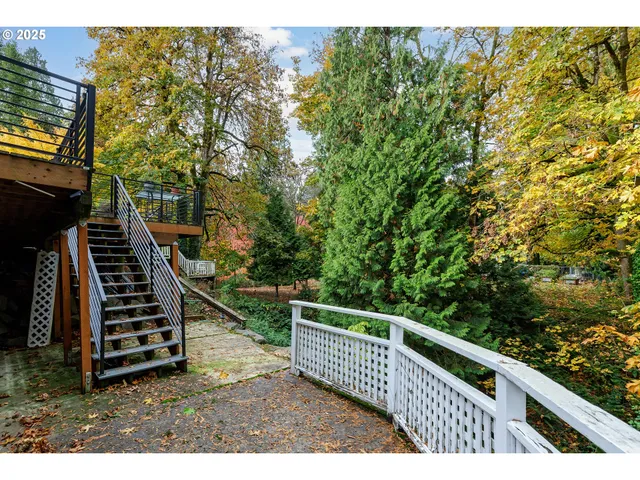 a view of a lush green forest