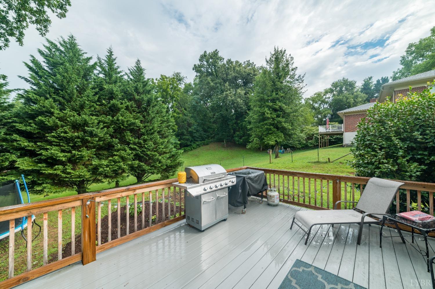 1129 Rugby Road Lynchburg, VA 24503 - Photo 24 of 56 Gallery Image 24