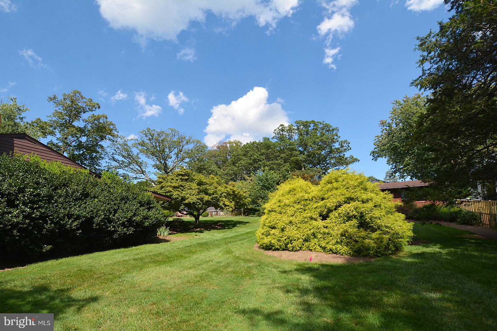 521 Beulah Road Vienna, VA 22180 - Photo 38 of 45 Lush Landscaping