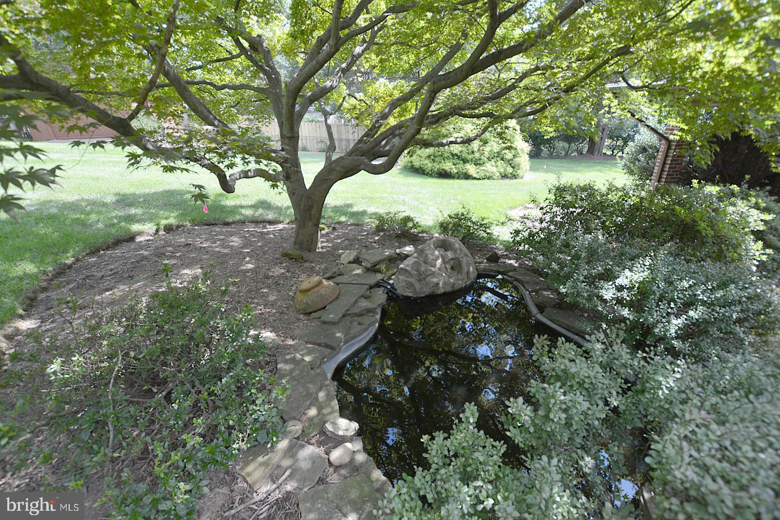 521 Beulah Road Vienna, VA 22180 - Photo 40 of 45 Great Little Pond Off of Deck