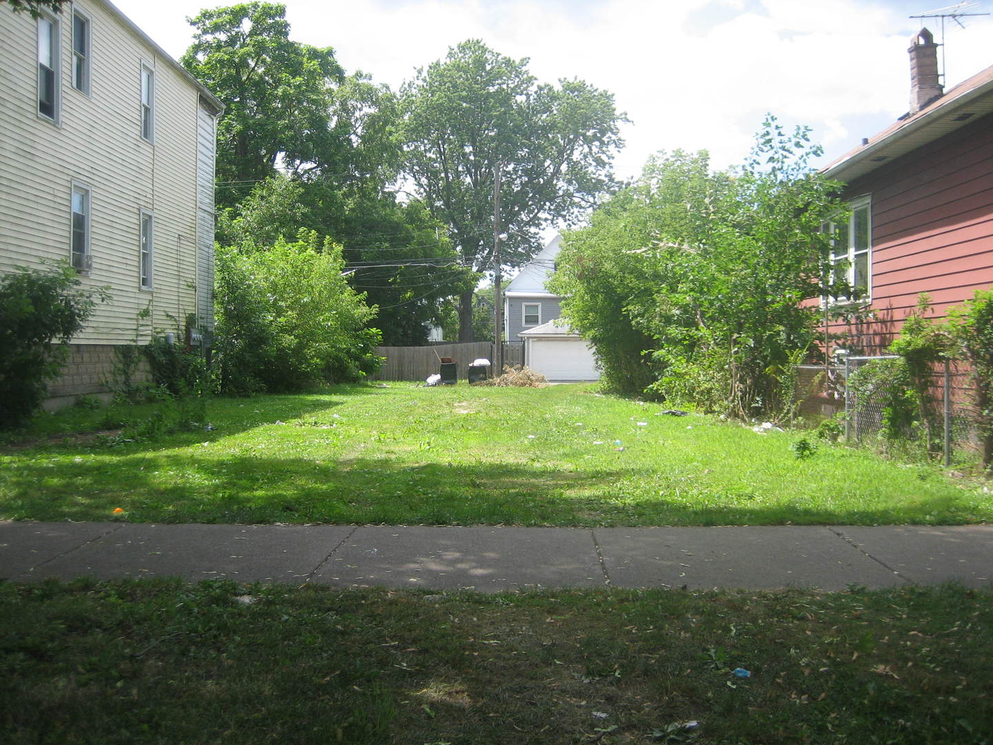 a view of a backyard with plants and large trees