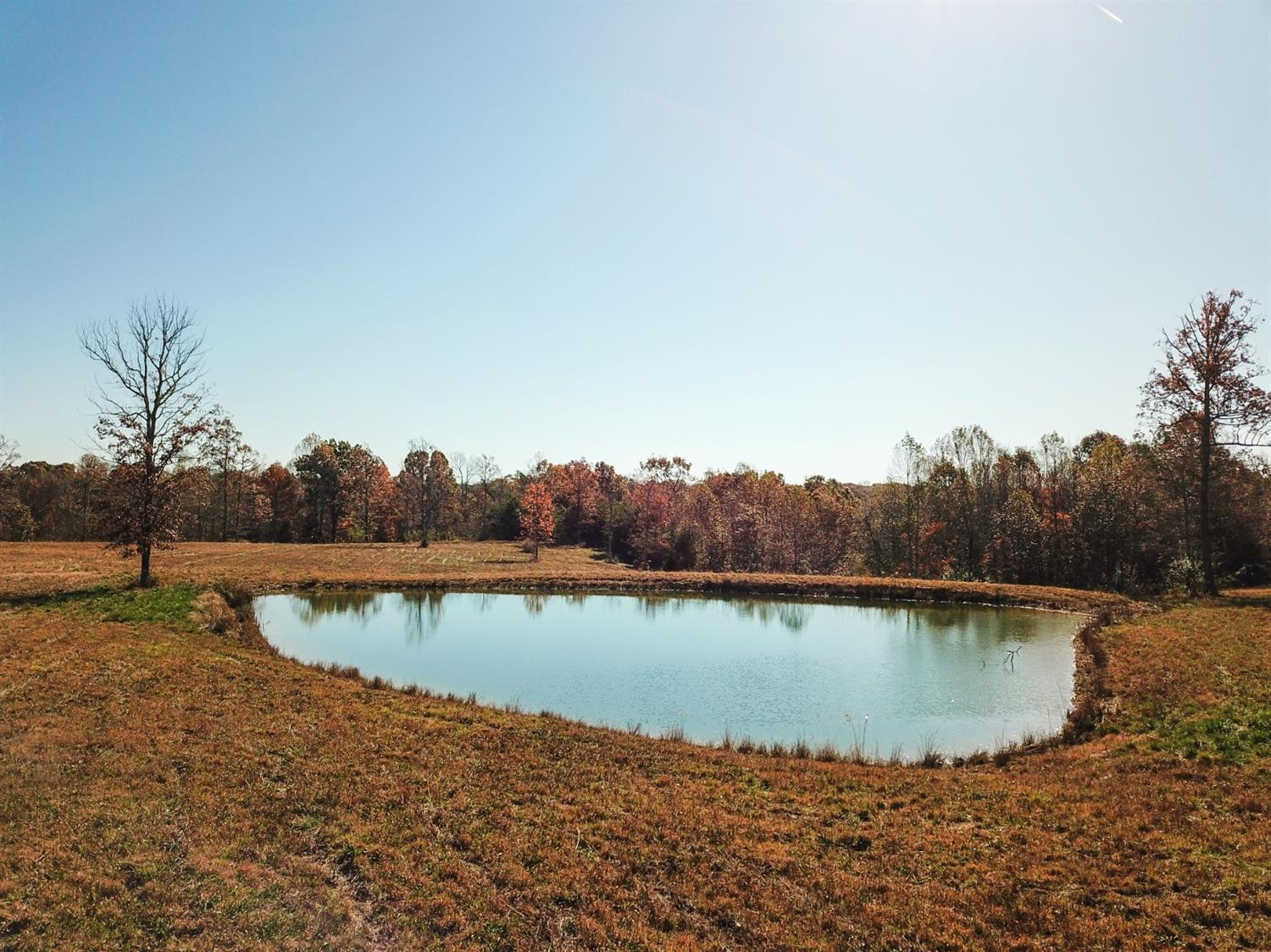 999 Red Davidson Road McKee, KY 40447 - Photo 6 of 45 Photo 6