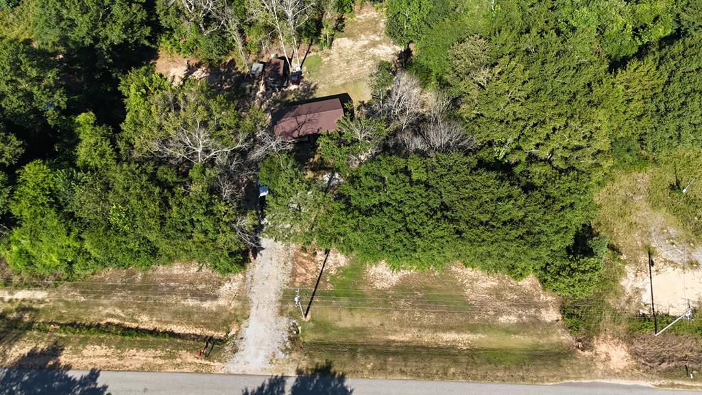 10355 County Road 97 Abbeville, AL 36310 - Photo 16 of 16