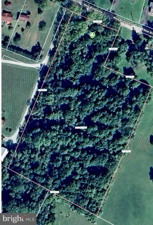 a picture of flowers