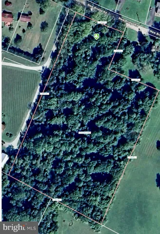 a picture of flowers