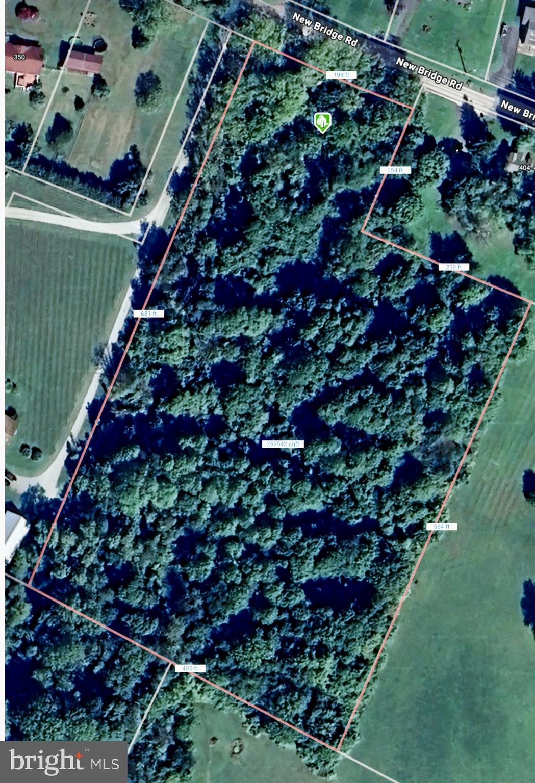 New Bridge Road Rising Sun, MD 21911 - Photo 2 of 6 a picture of flowers