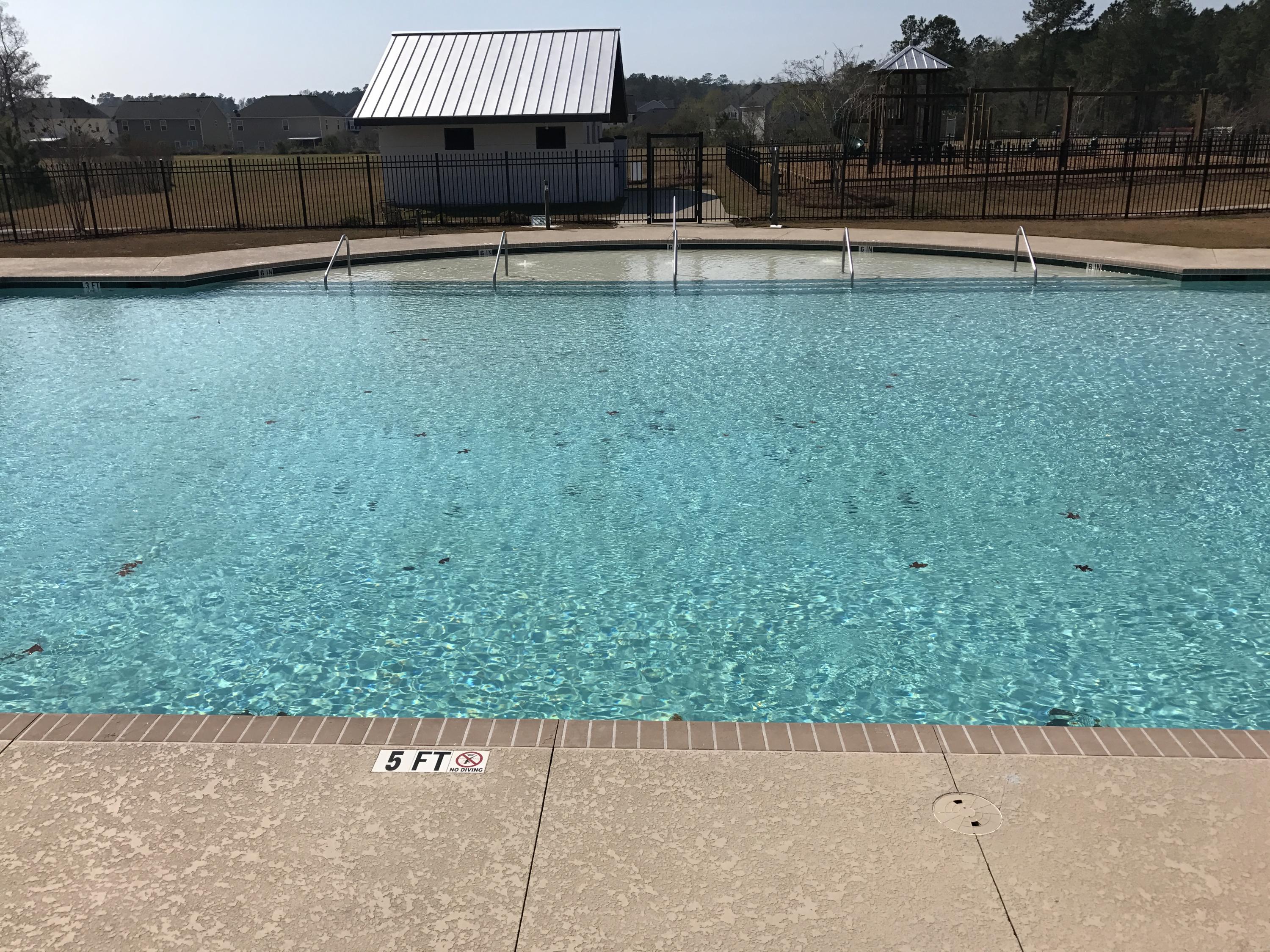121 Nolin Road Moncks Corner, SC 29461 - Photo 58 of 70 IMG_3842