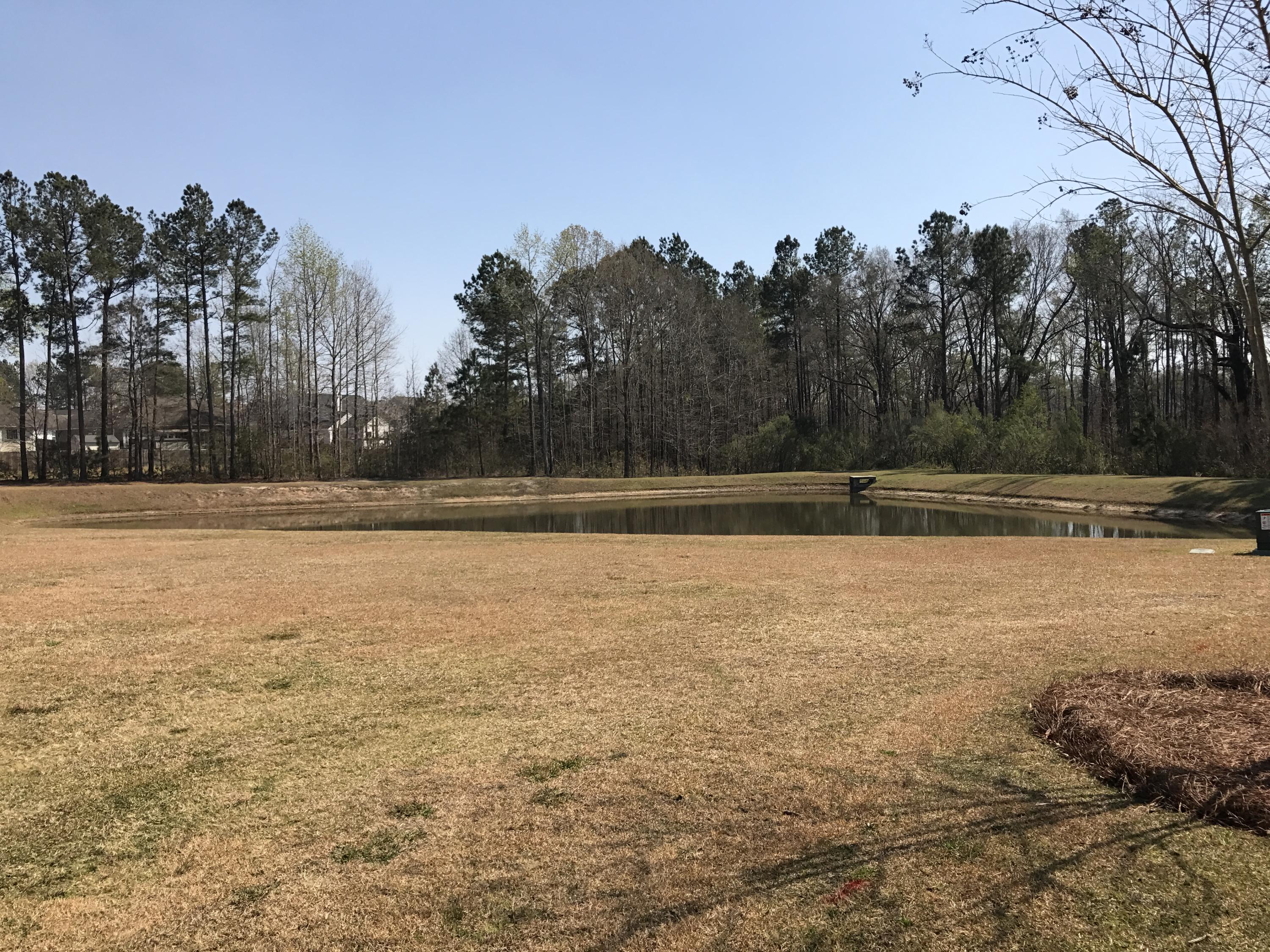 121 Nolin Road Moncks Corner, SC 29461 - Photo 59 of 70 IMG_3843
