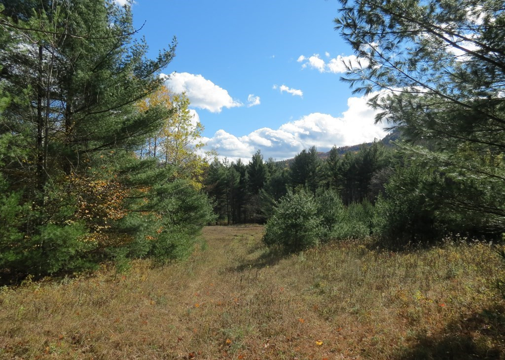 357 Upper Jay-Trumbulls Corners Road Jay, NY 12941 - Photo 6 of 10