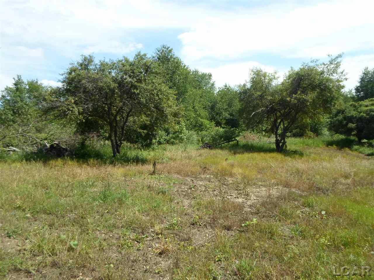 12000 Stephenson Road, Unit PARCEL A Brooklyn, MI 49230 - Photo 17 of 49