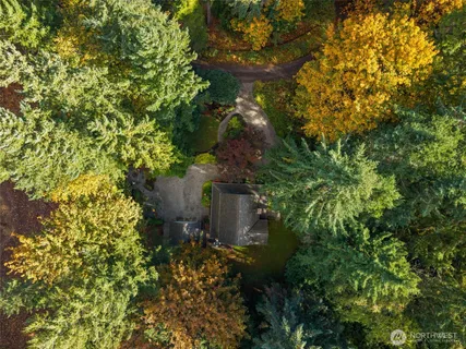 a view of a house with a tree
