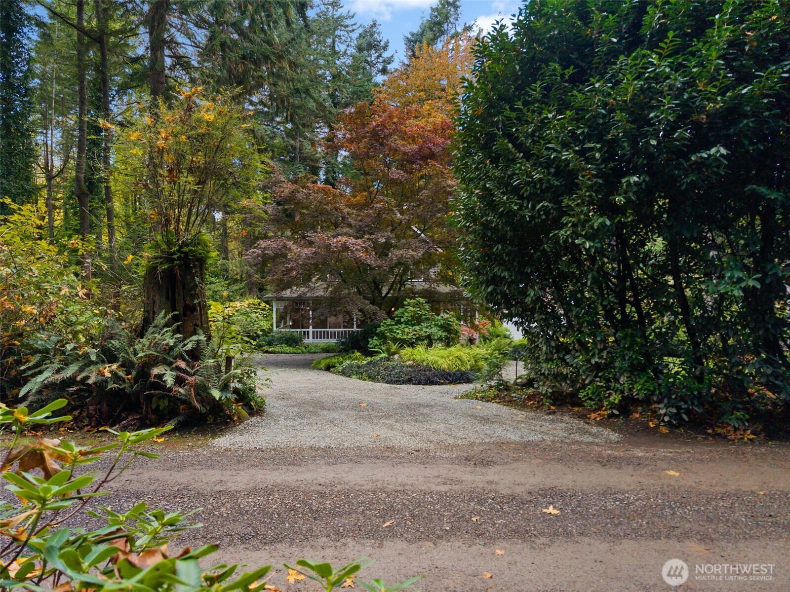 8991 Springwood Avenue Northeast Bainbridge Island, WA 98110 - Photo 3 of 36 a pathway of a yard