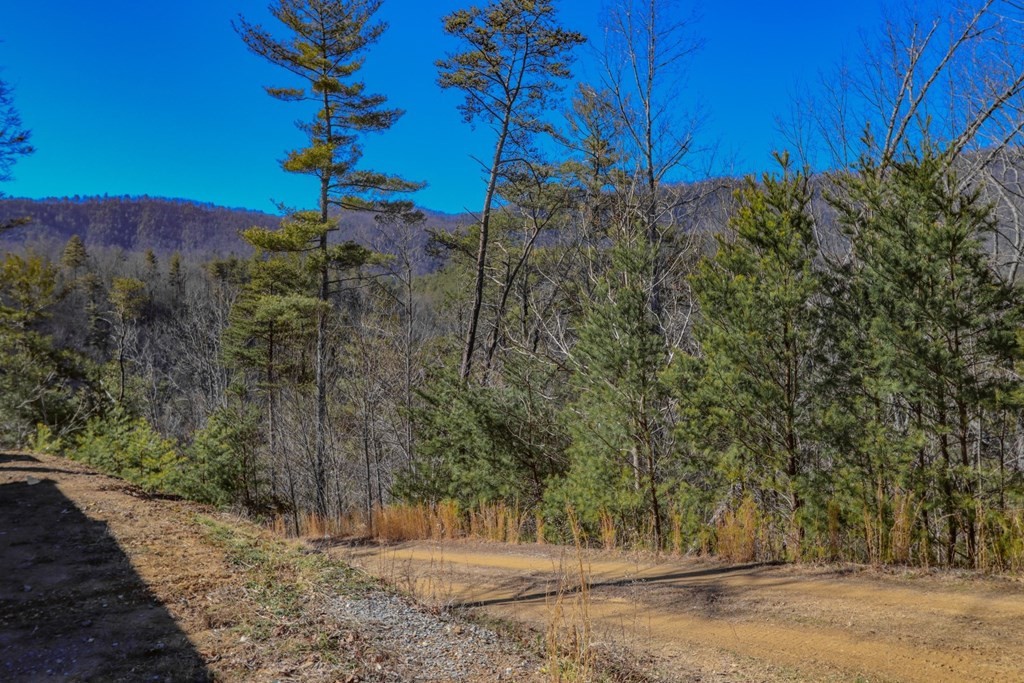 768 Messer Branch Road Hartford, TN 37753 - Photo 31 of 36 Gallery Image 31