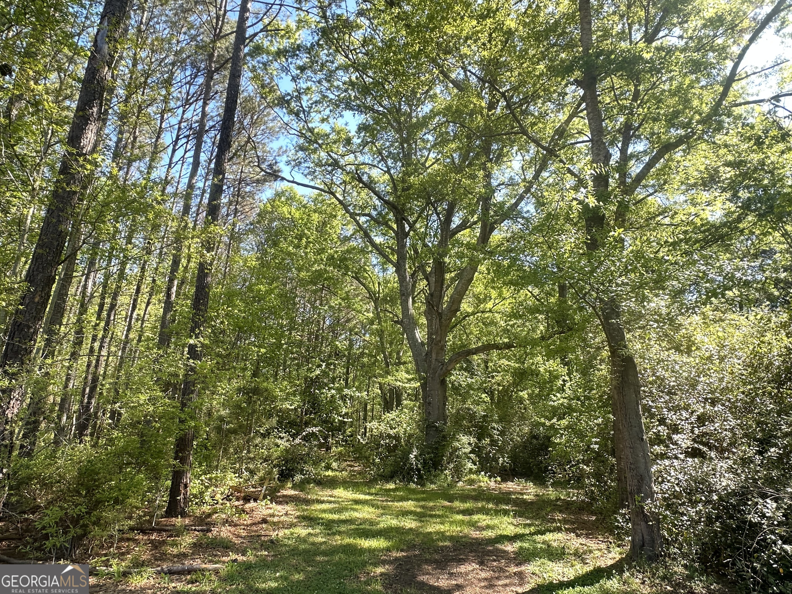 20112 Highway 85 Gay, GA 30218 - Photo 11 of 17