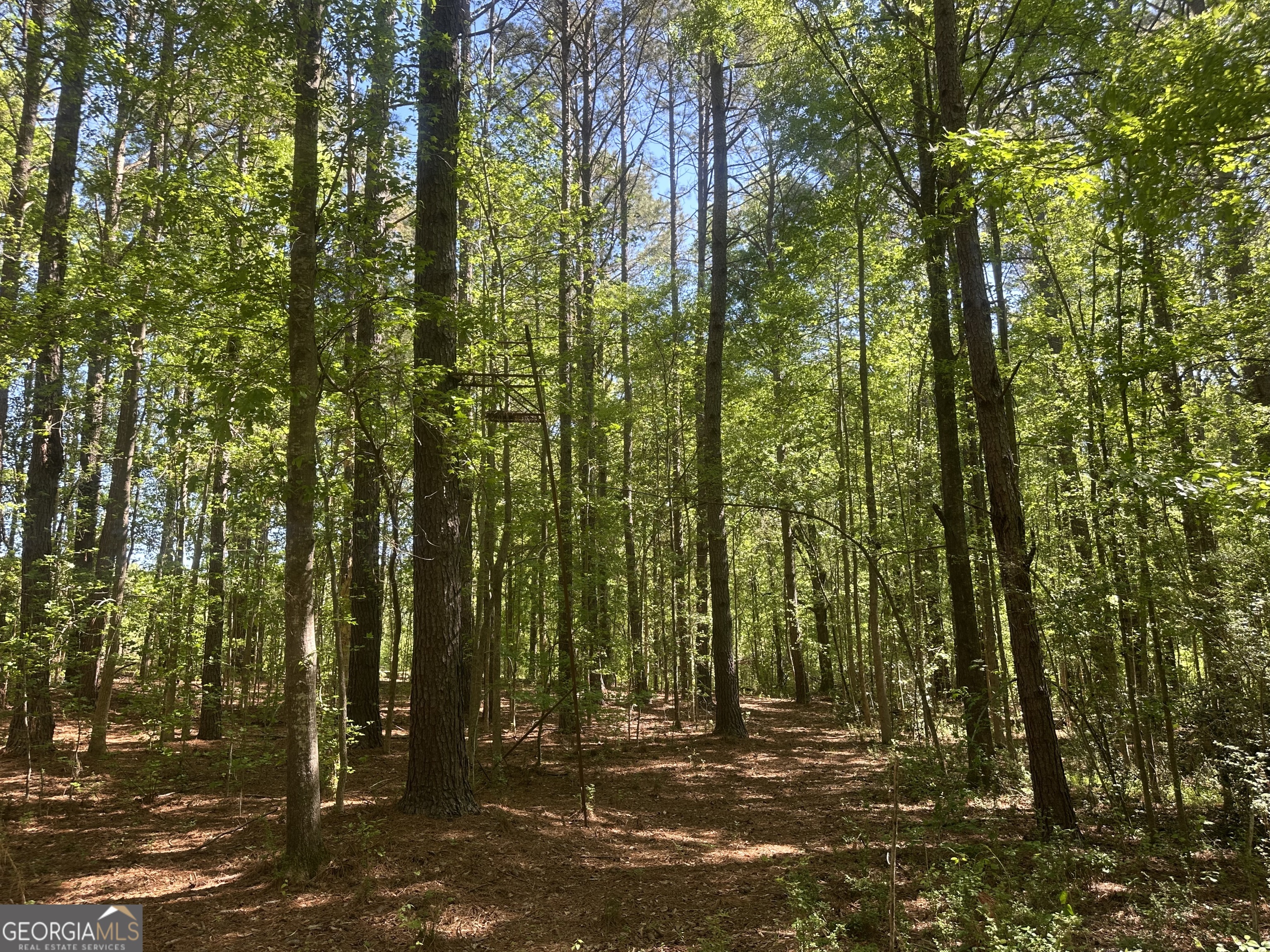 20112 Highway 85 Gay, GA 30218 - Photo 10 of 17