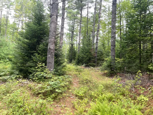 $130,000 | # North Road, Harmony, ME 04942