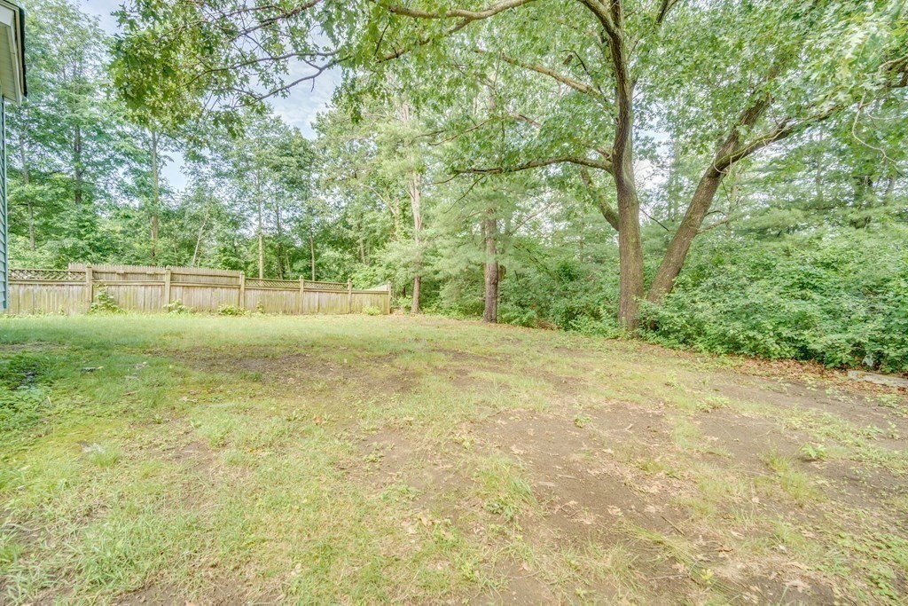 80 Brickett Street Springfield, MA 01119 - Photo 5 of 30 a view of a yard with a tree
