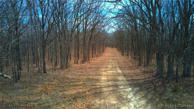 $70,000 | Tbd Partridge Drive, Climax Springs, MO 65324