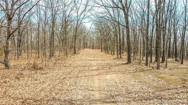 $70,000 | Tbd Partridge Drive, Climax Springs, MO 65324