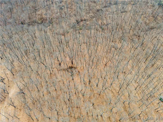 $70,000 | Tbd Partridge Drive, Climax Springs, MO 65324