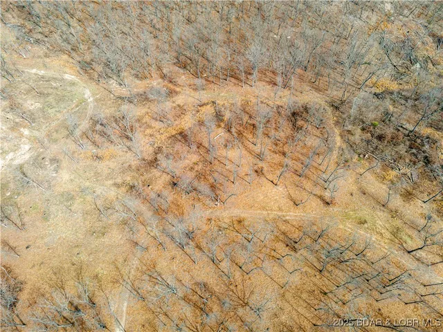 $70,000 | Tbd Partridge Drive, Climax Springs, MO 65324