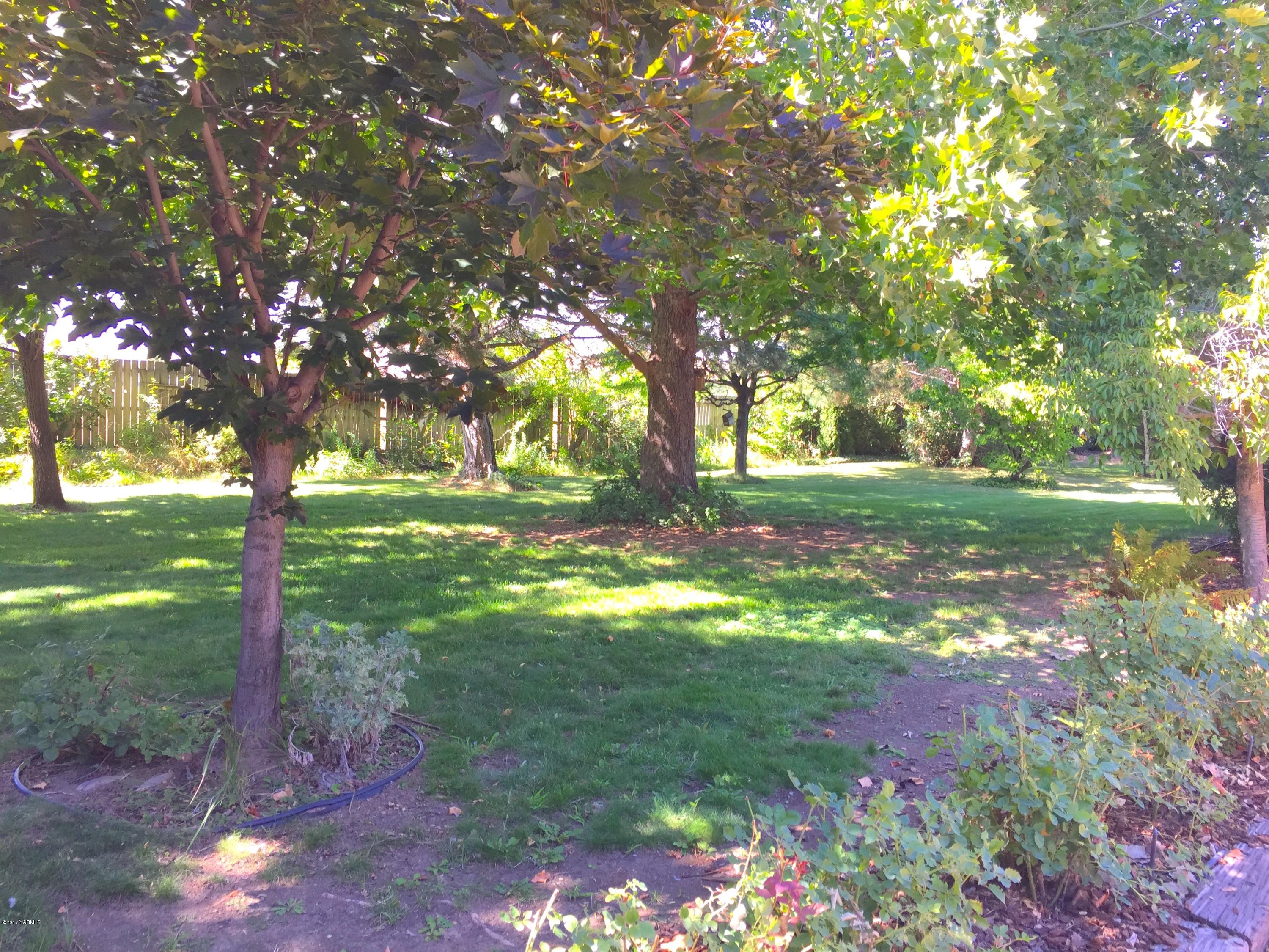 804 Estes Road Yakima, WA 98908 - Photo 9 of 18 a backyard of a house with lots of green space