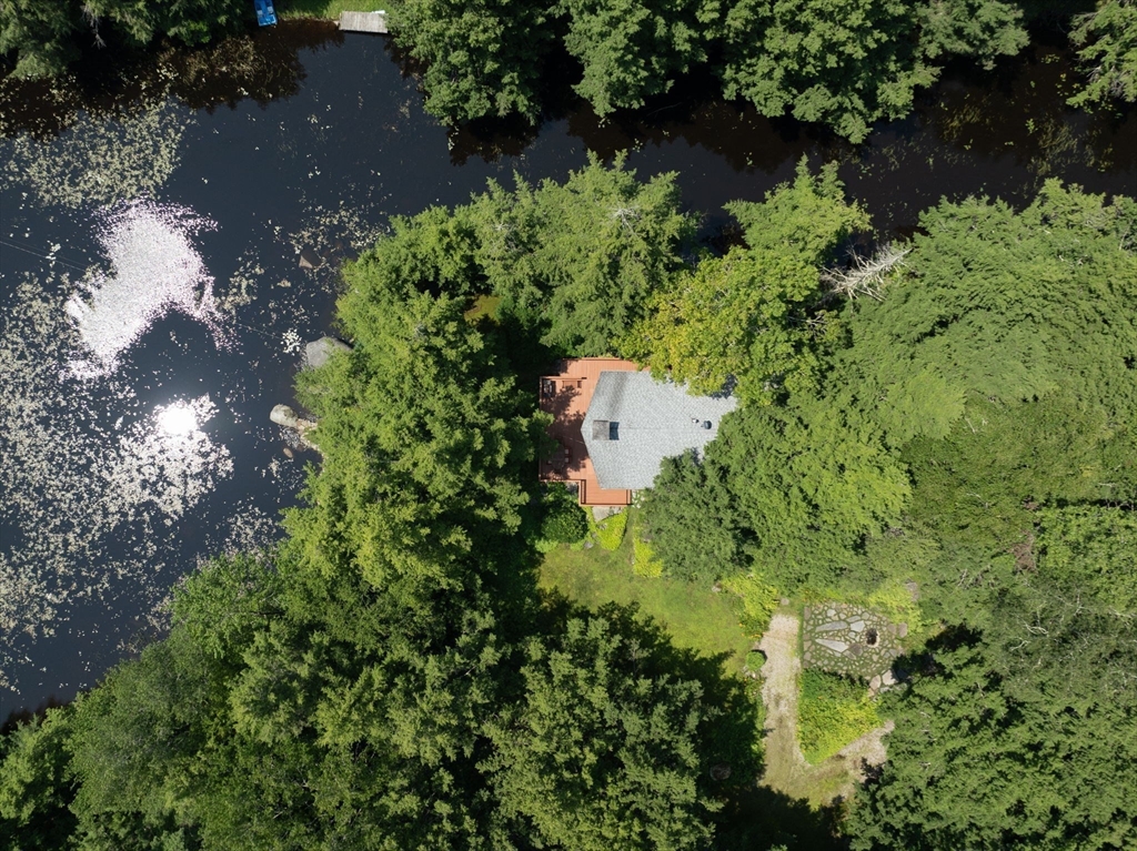 32 Pond Hill Road Goshen, MA 01096 - Photo 22 of 24 a view of a garden with plants