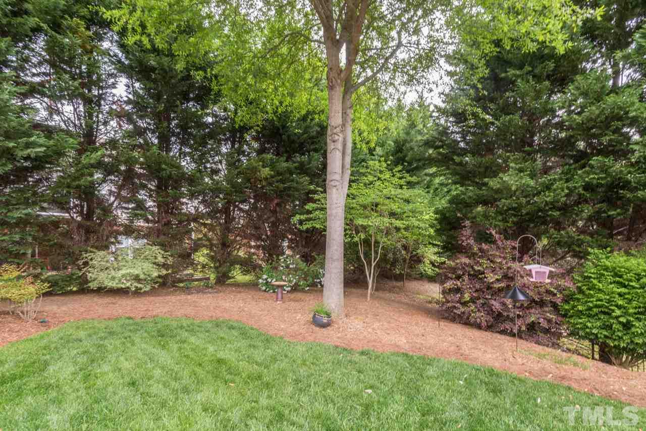 3406 Cathedral Bell Road Raleigh, NC 27614 - Photo 25 of 25 a view of a park with large trees