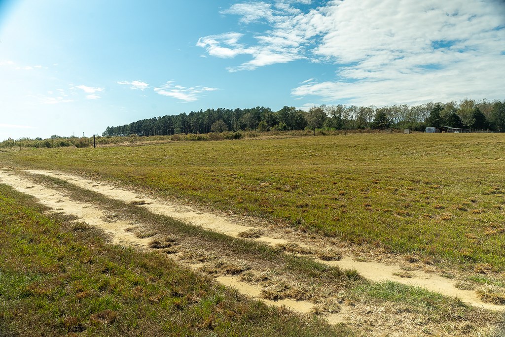 0 J B J B Jackson Road Webb, AL 36376 - Photo 20 of 38
