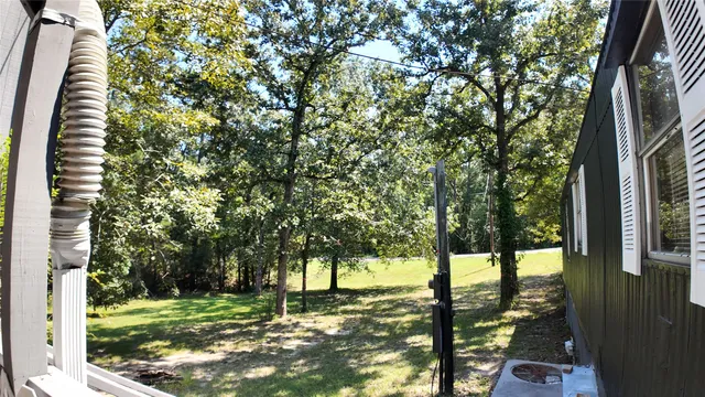 a view of a yard with plants and trees