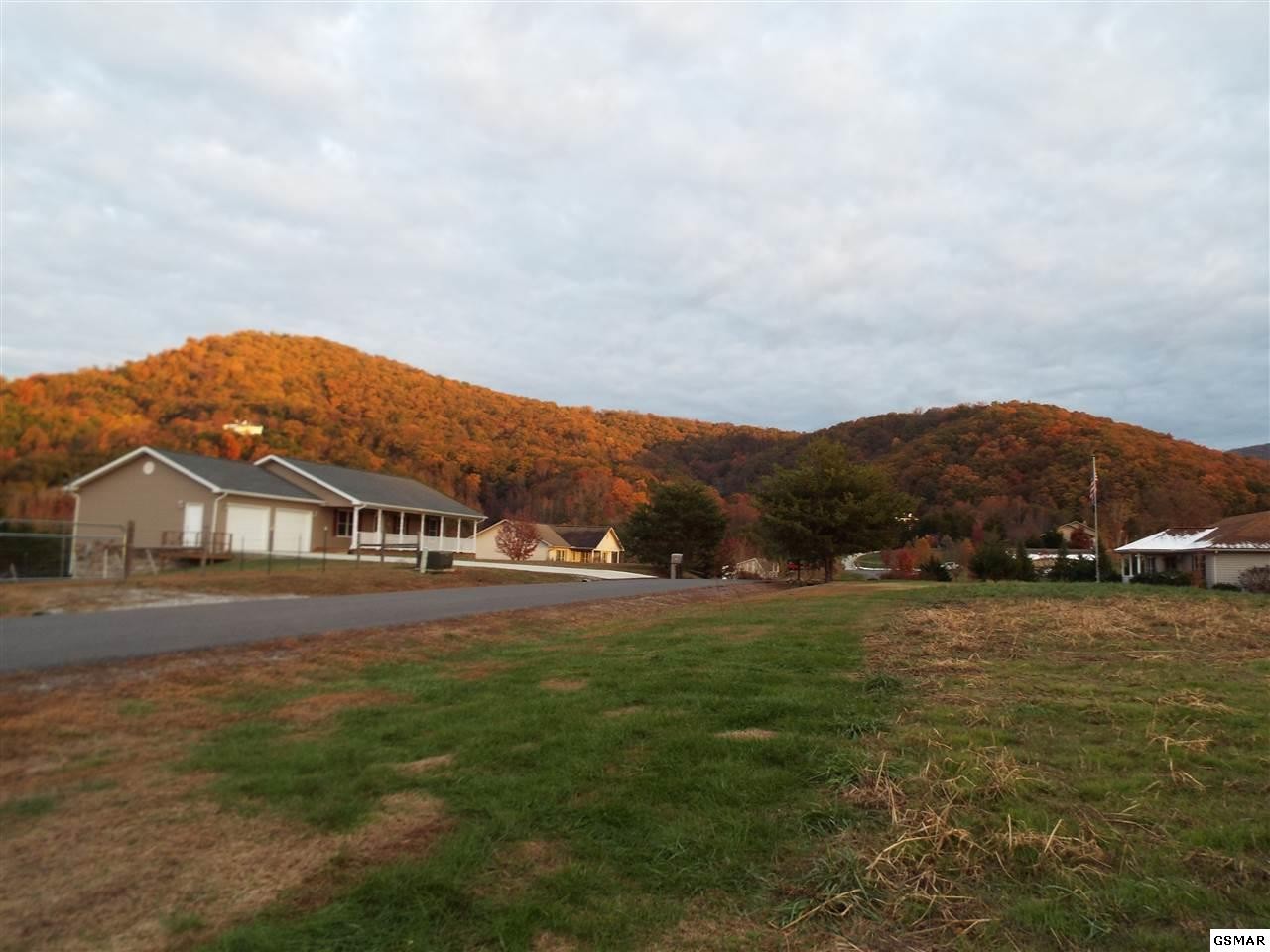 17 Dawning Road Newport, TN 37821 - Photo 6 of 10 Gallery Image 6