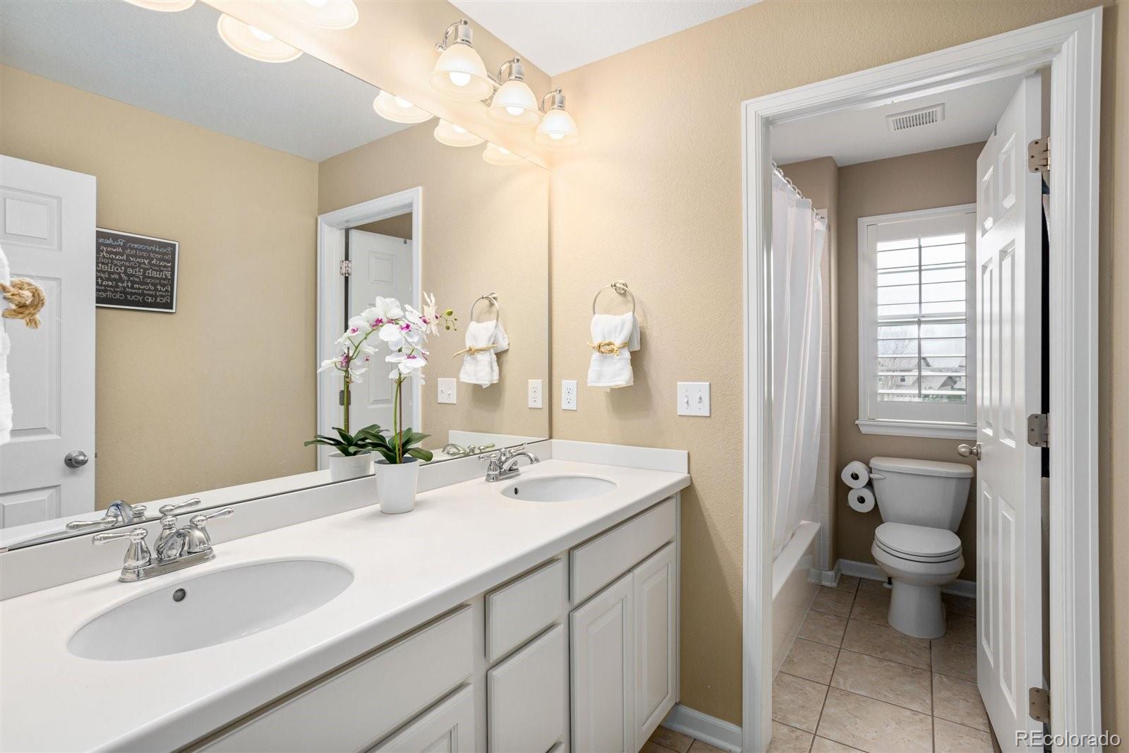 690 Tiger Lily Way Highlands Ranch, CO 80126 - Photo 21 of 38 a bathroom with a sink a toilet and a mirror