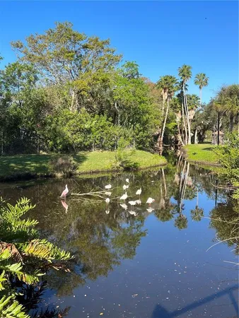 $1,800 | 3128 59th Street South, Unit 205, Gulfport, FL 33707