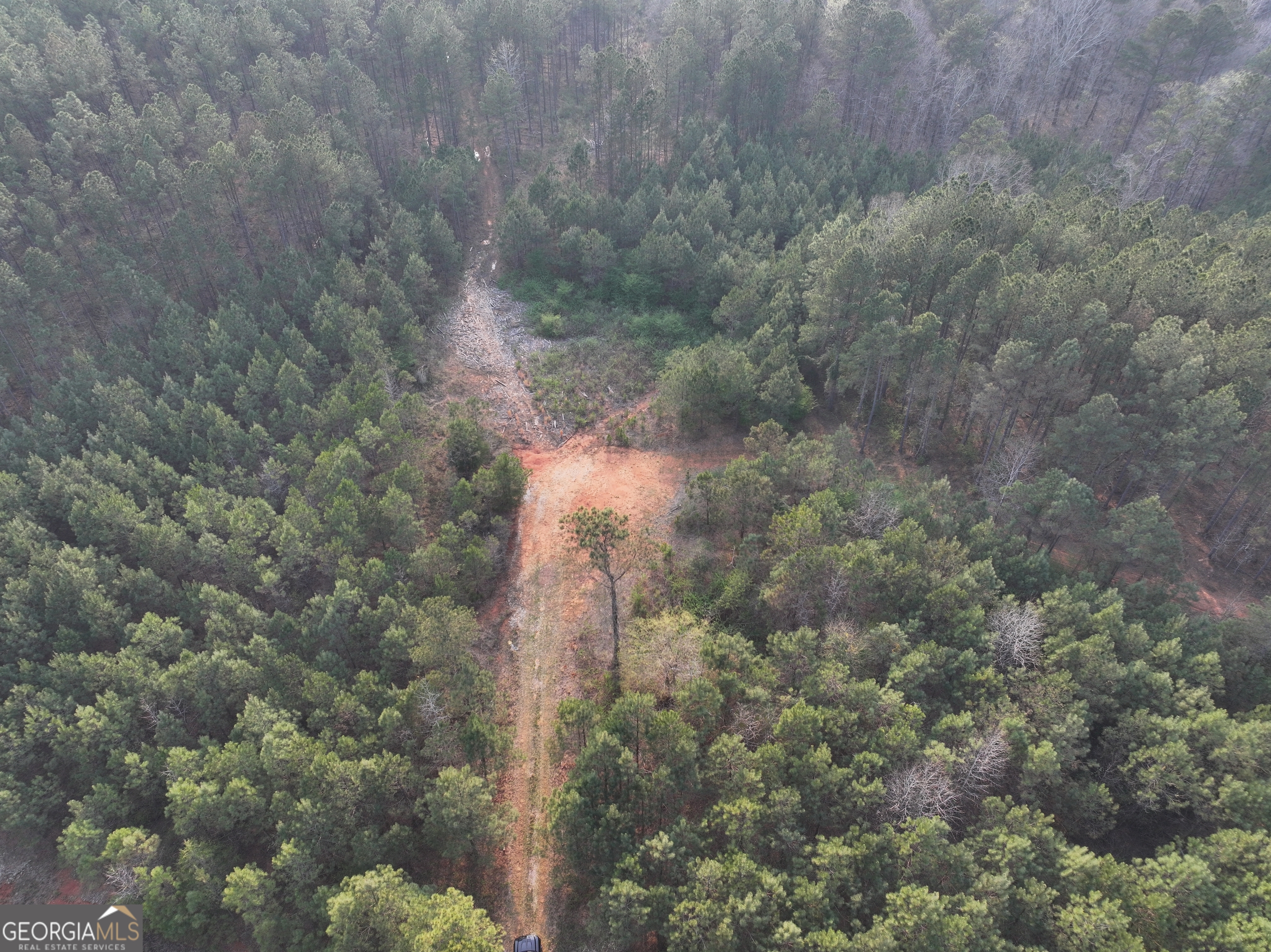 105 Acres On Mccosh Mill Road LaGrange, GA 30240 - Photo 14 of 25 a view of a forest that has a tree in it