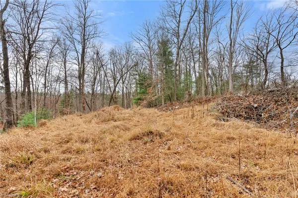 $32,000 | Tbd Cedar Trail, Mount Airy, NC 27030