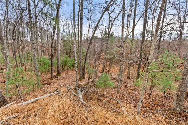 $32,000 | Tbd Cedar Trail, Mount Airy, NC 27030