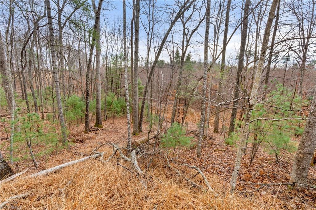 Tbd Cedar Trail Mount Airy, NC 27030 - Photo 12 of 21