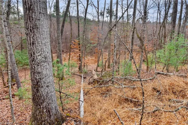 $32,000 | Tbd Cedar Trail, Mount Airy, NC 27030