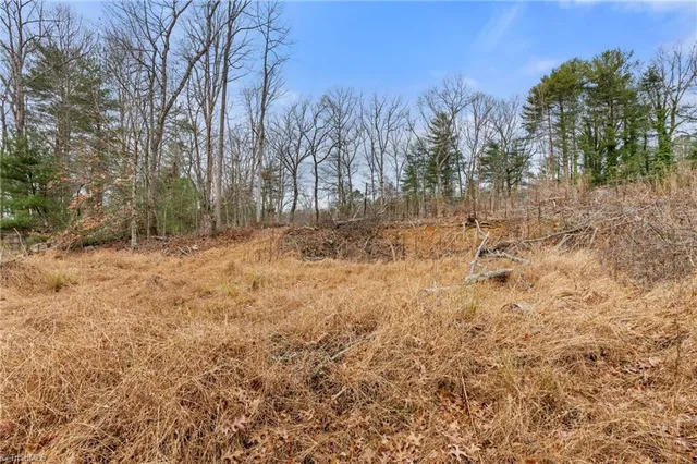 $32,000 | Tbd Cedar Trail, Mount Airy, NC 27030