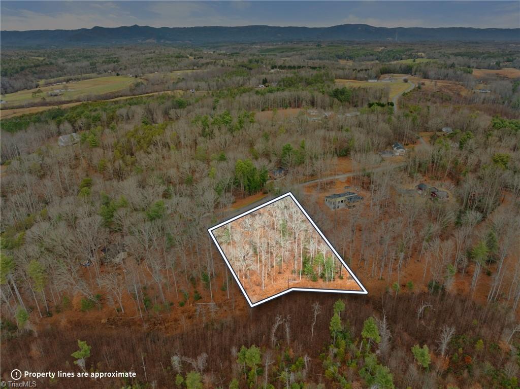 Tbd Cedar Trail Mount Airy, NC 27030 - Photo 3 of 21