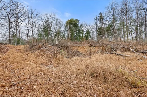 $32,000 | Tbd Cedar Trail, Mount Airy, NC 27030