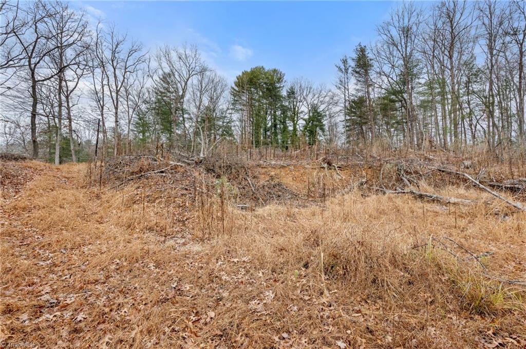 Tbd Cedar Trail Mount Airy, NC 27030 - Photo 5 of 21