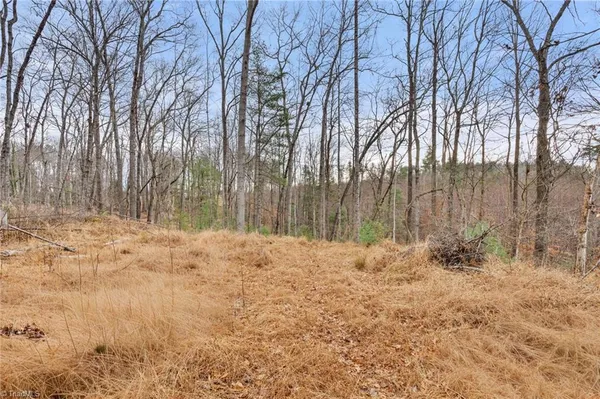 $32,000 | Tbd Cedar Trail, Mount Airy, NC 27030