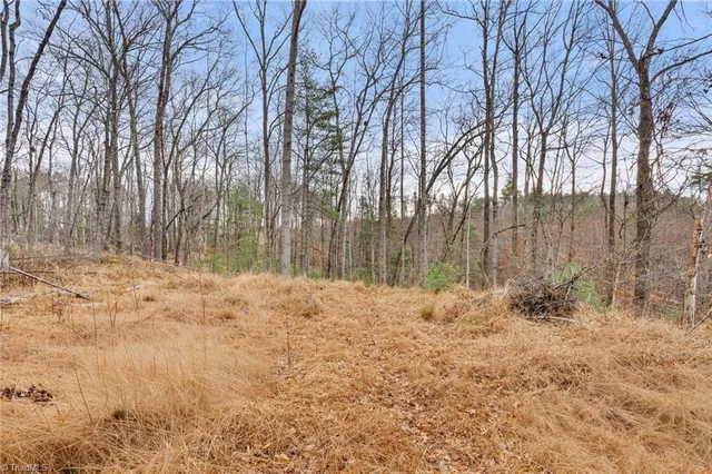 $32,000 | Tbd Cedar Trail, Mount Airy, NC 27030