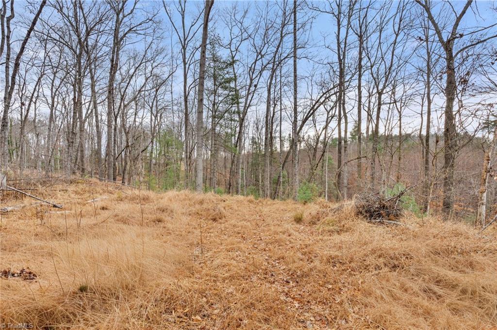 Tbd Cedar Trail Mount Airy, NC 27030 - Photo 6 of 21
