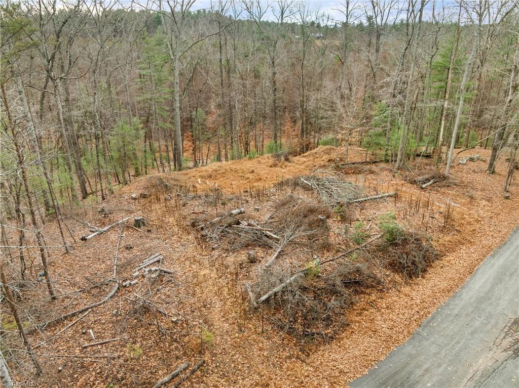 Tbd Cedar Trail Mount Airy, NC 27030 - Photo 7 of 21