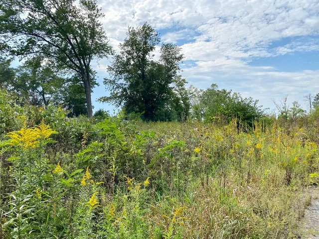 $875,000 | 28884 North Il Route 83 Street, Mundelein, IL 60060