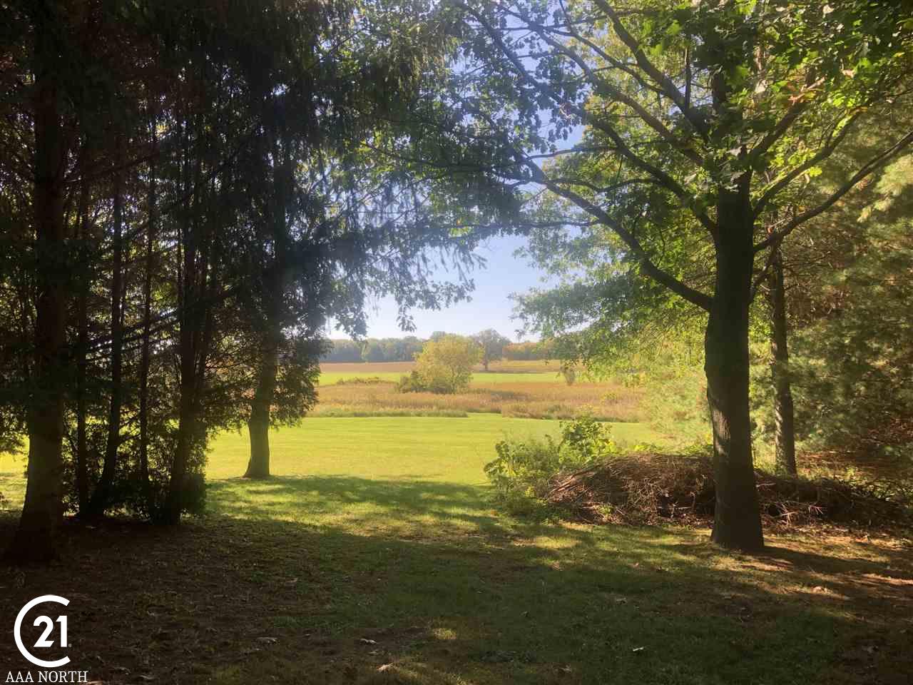 78625 Kidder Road Romeo, MI 48065 - Photo 41 of 48 Backyard