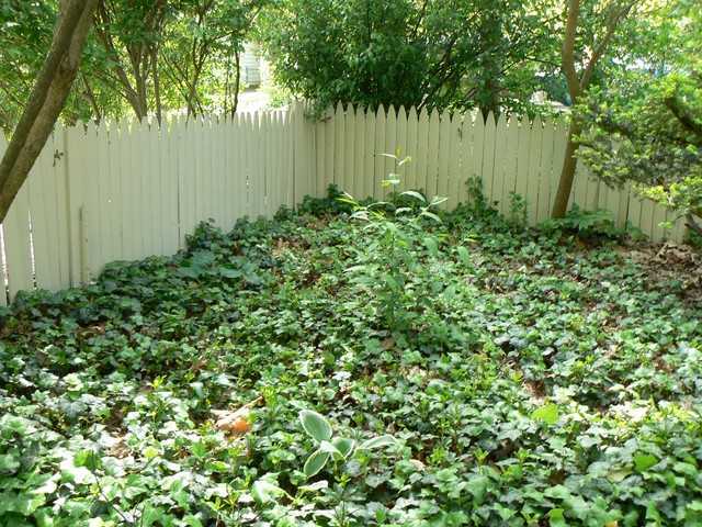 443 Walhalla Road Columbus, OH 43202 - Photo 16 of 24